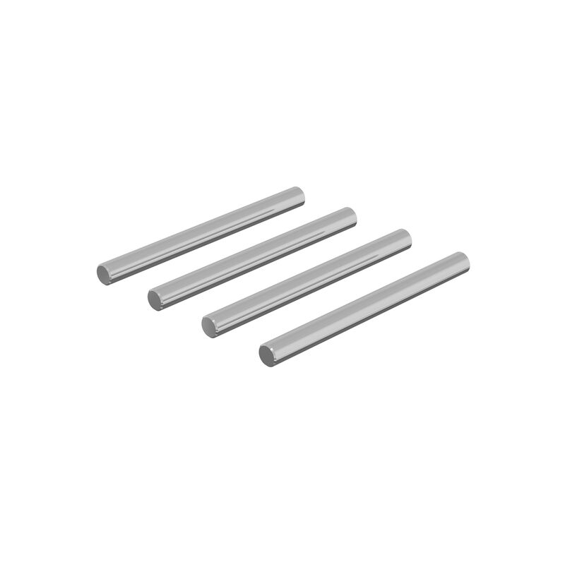 Hinge Pin Set 4x48.5mm (4)