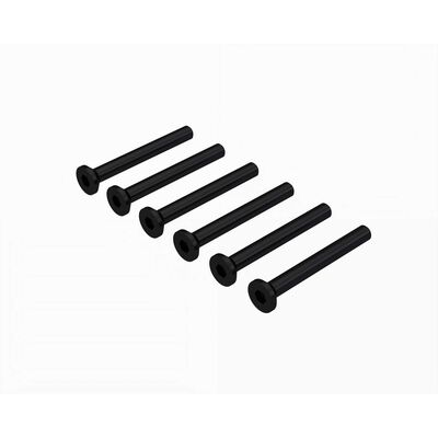 Flat Head Screw M2.5x22mm (6)