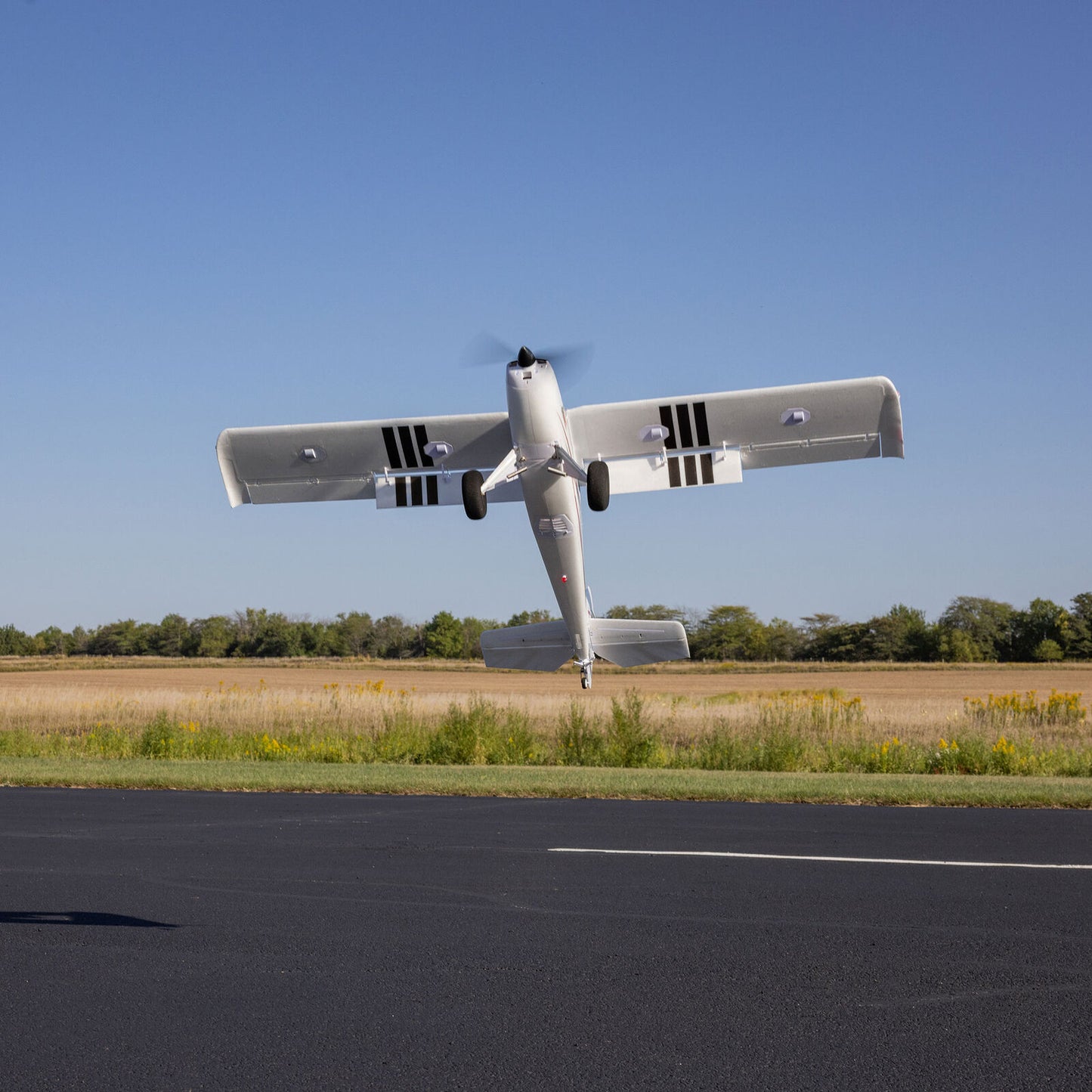 E-flite Timber 1.5m 10th Anniversary Special Edition BNF Basic with AS3X+ and SAFE Select