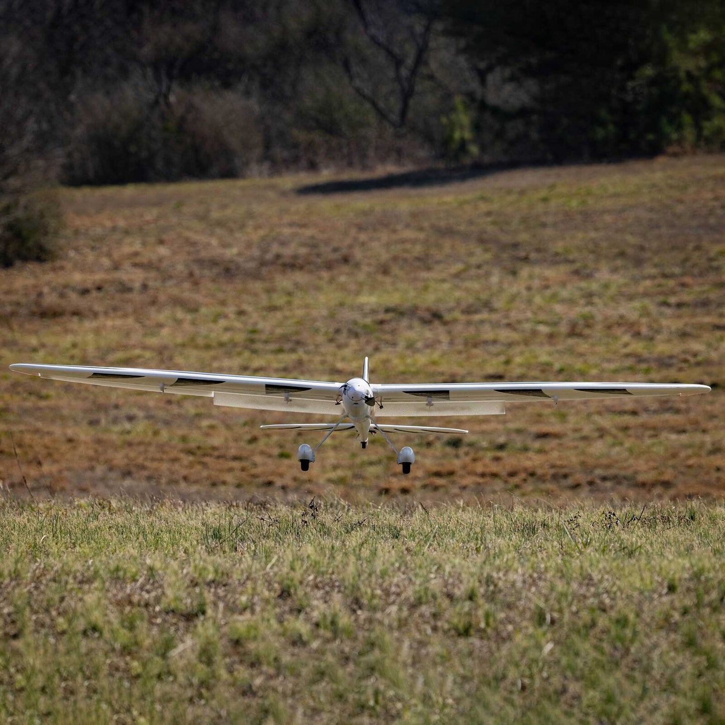 E-flite Conscendo 2.0m BNF Basic with AS3X+ and SAFE Select