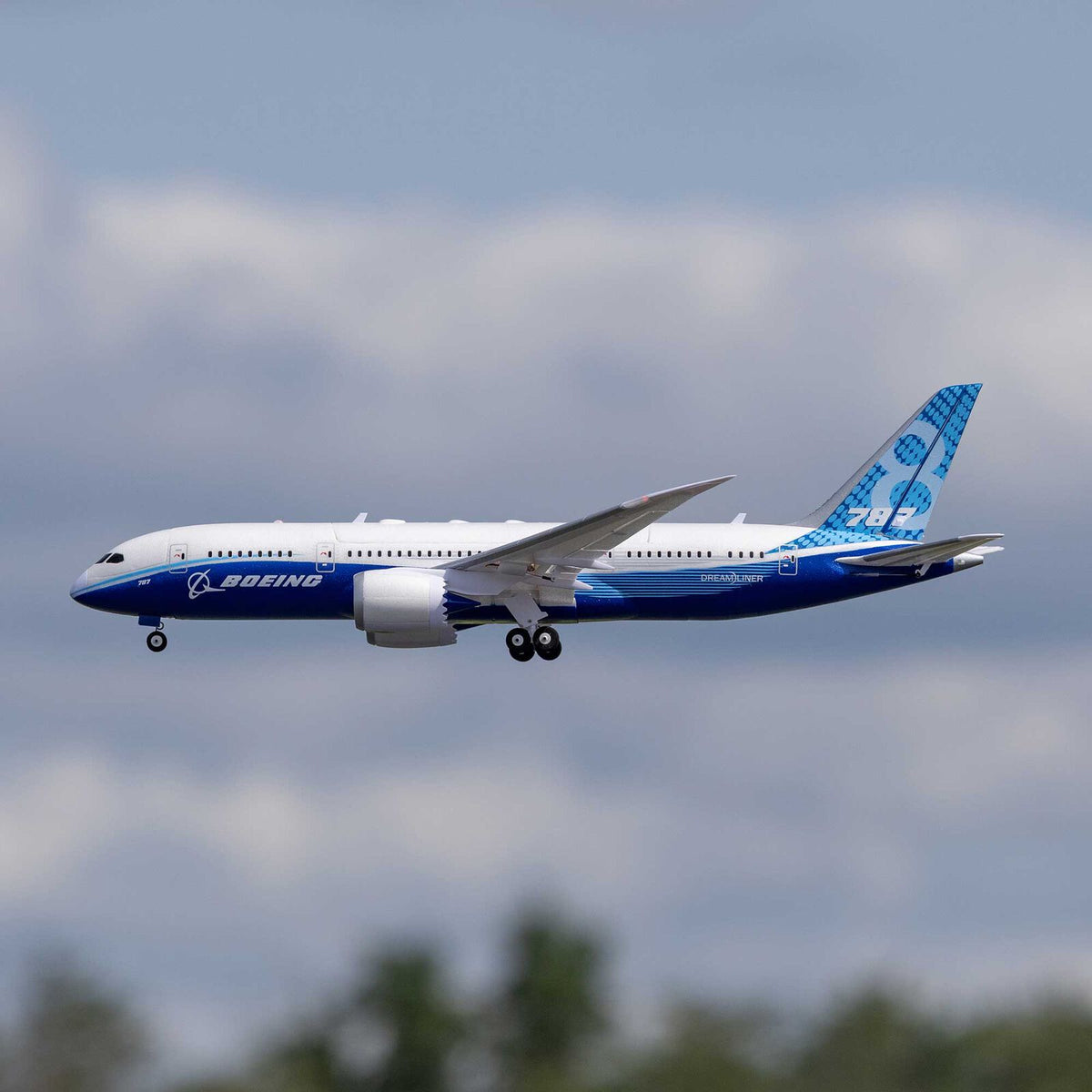 E-flite Micro Boeing 787-8 Dreamliner Twin 30mm EDF BNF Basic with AS3X and SAFE Select