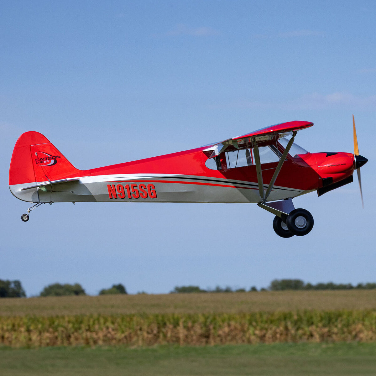 Hangar 9 Carbon Cub 15cc ARF