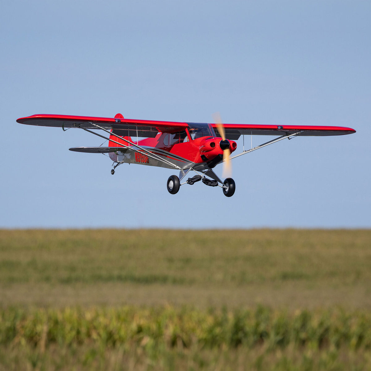 Hangar 9 Carbon Cub 15cc ARF