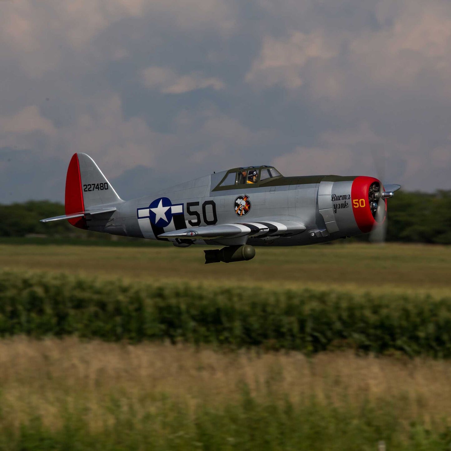 Hangar 9 P-47D Thunderbolt 20cc ARF with E-flite Electric Retract Set