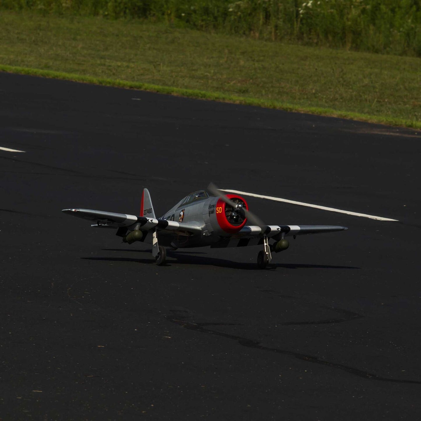 Hangar 9 P-47D Thunderbolt 20cc ARF with E-flite Electric Retract Set