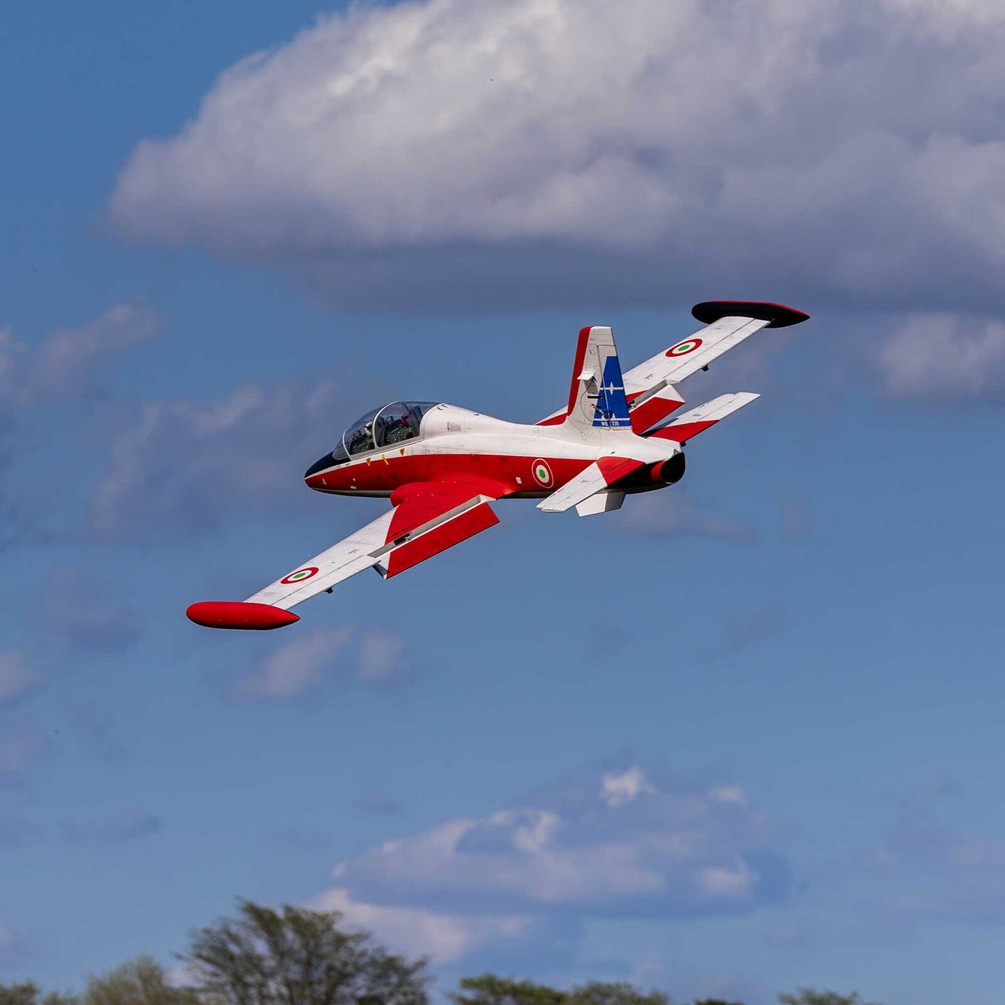 Hangar 9 Aermacchi MB-339 60-86N Scale Military Turbine Jet ARF 2.1m