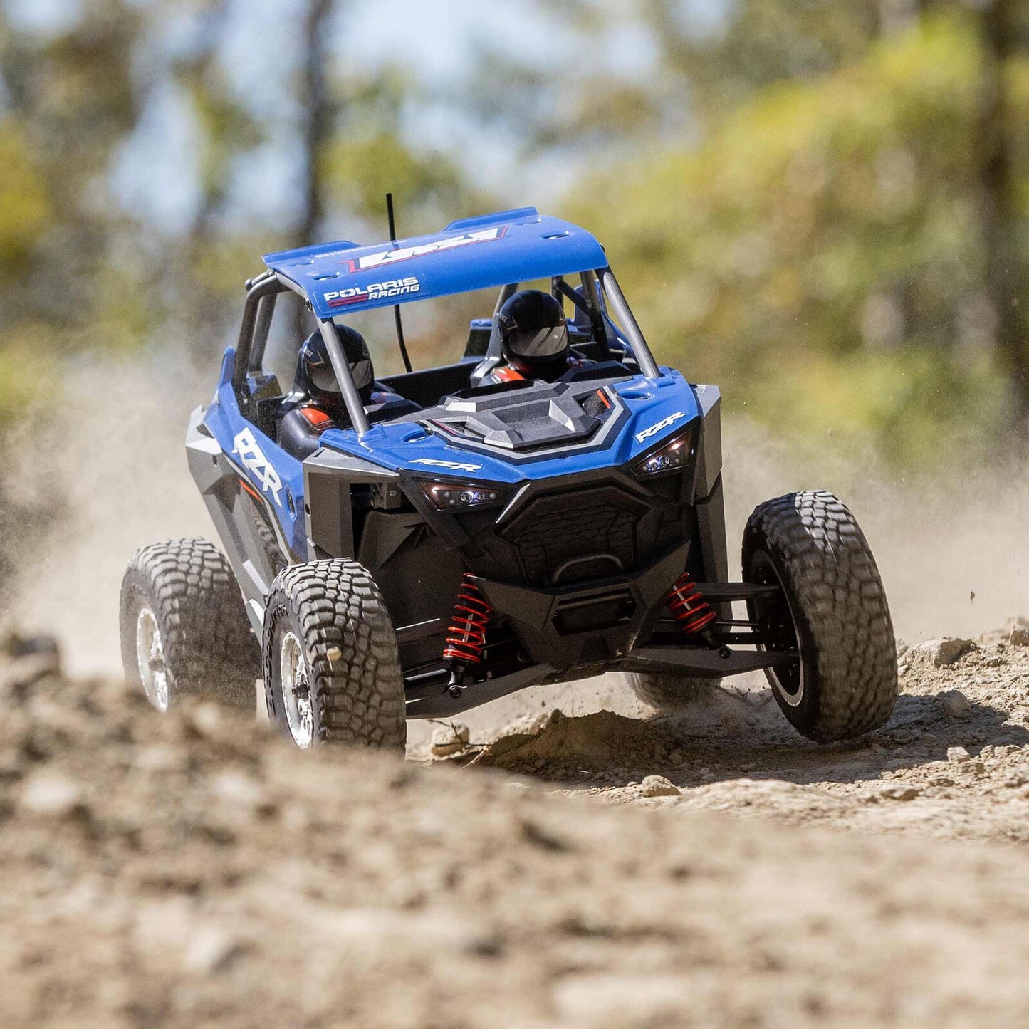 Losi 1/10 Losi RZR Rey