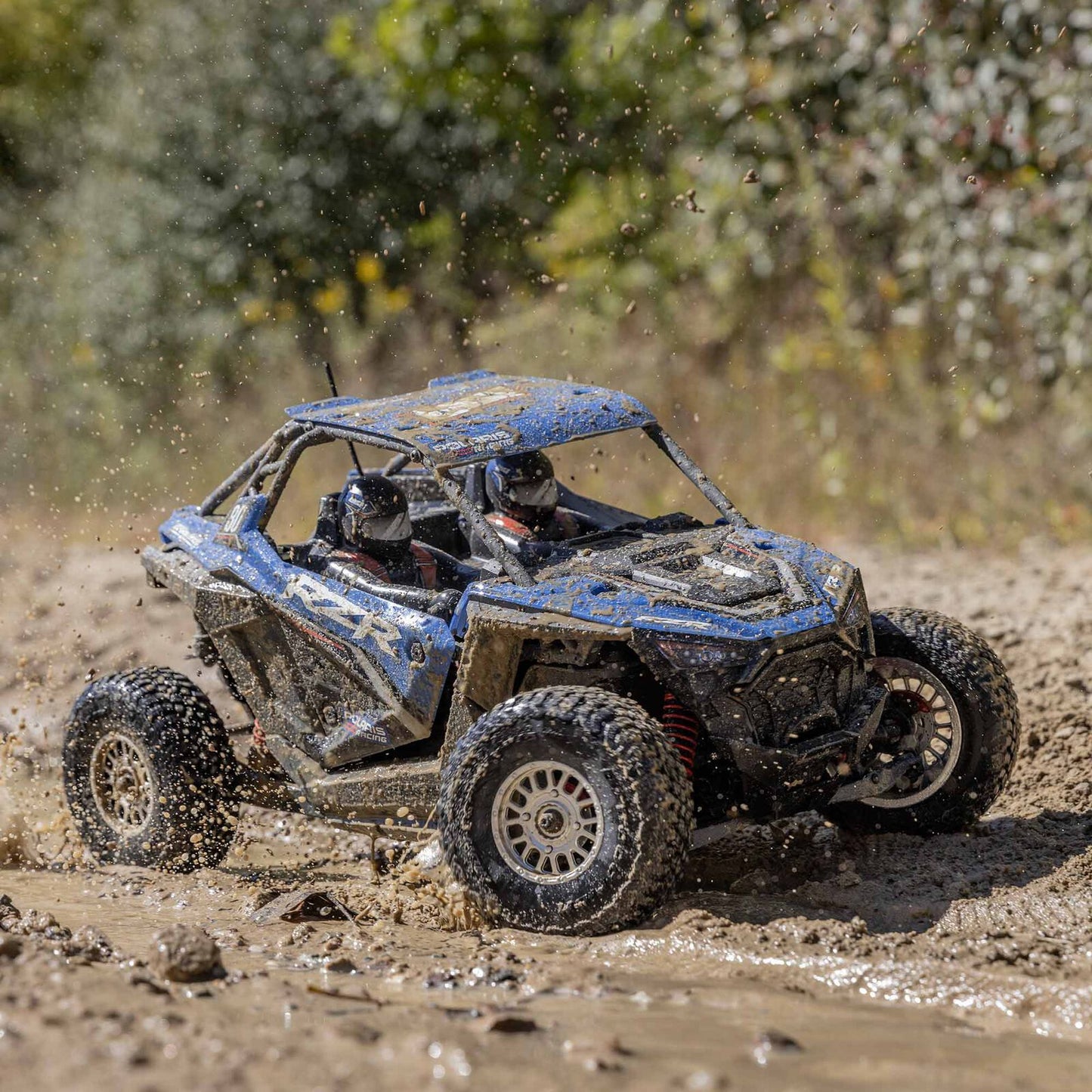 Losi 1/10 Losi RZR Rey
