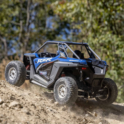 Losi 1/10 Losi RZR Rey