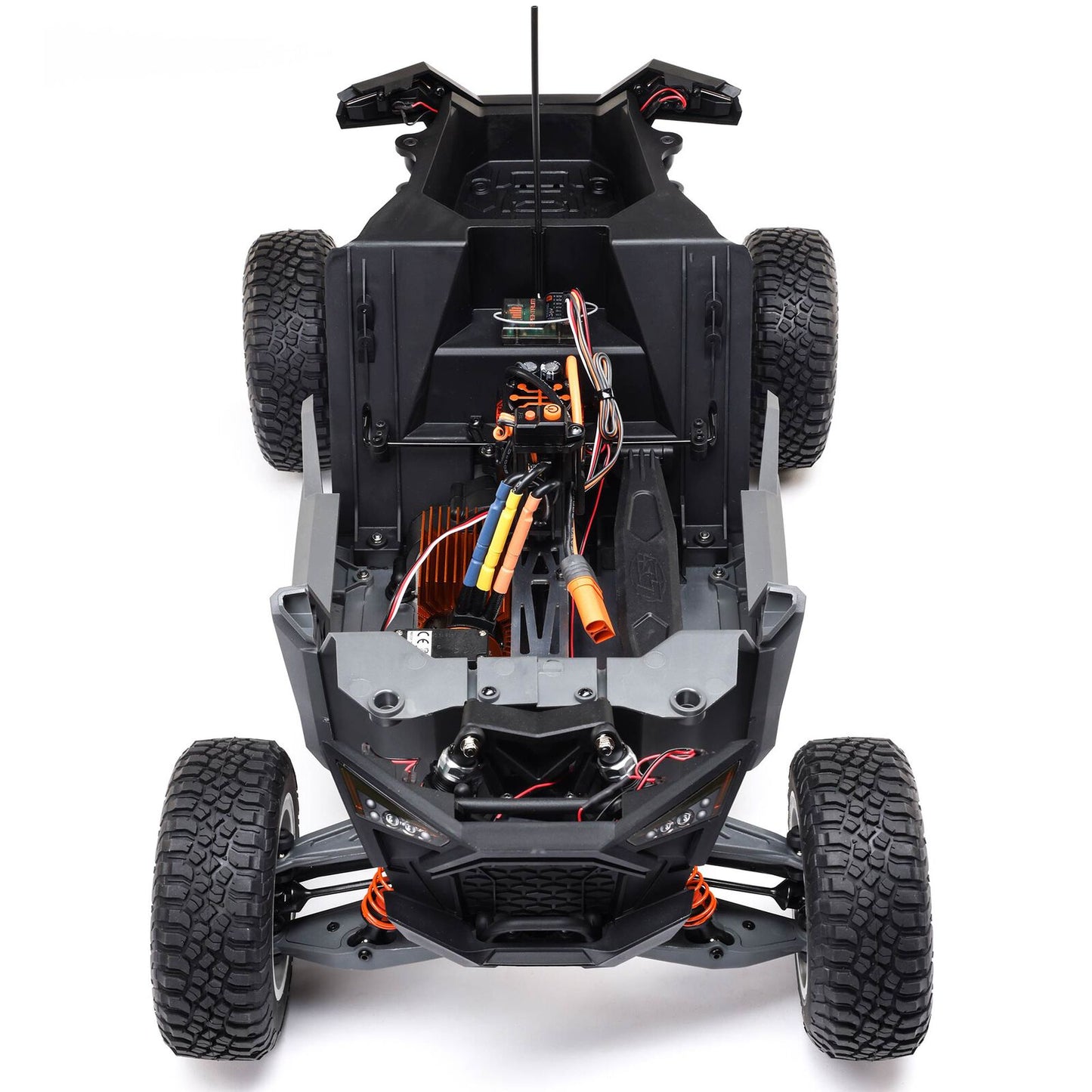 Losi 1/10 Losi RZR Rey
