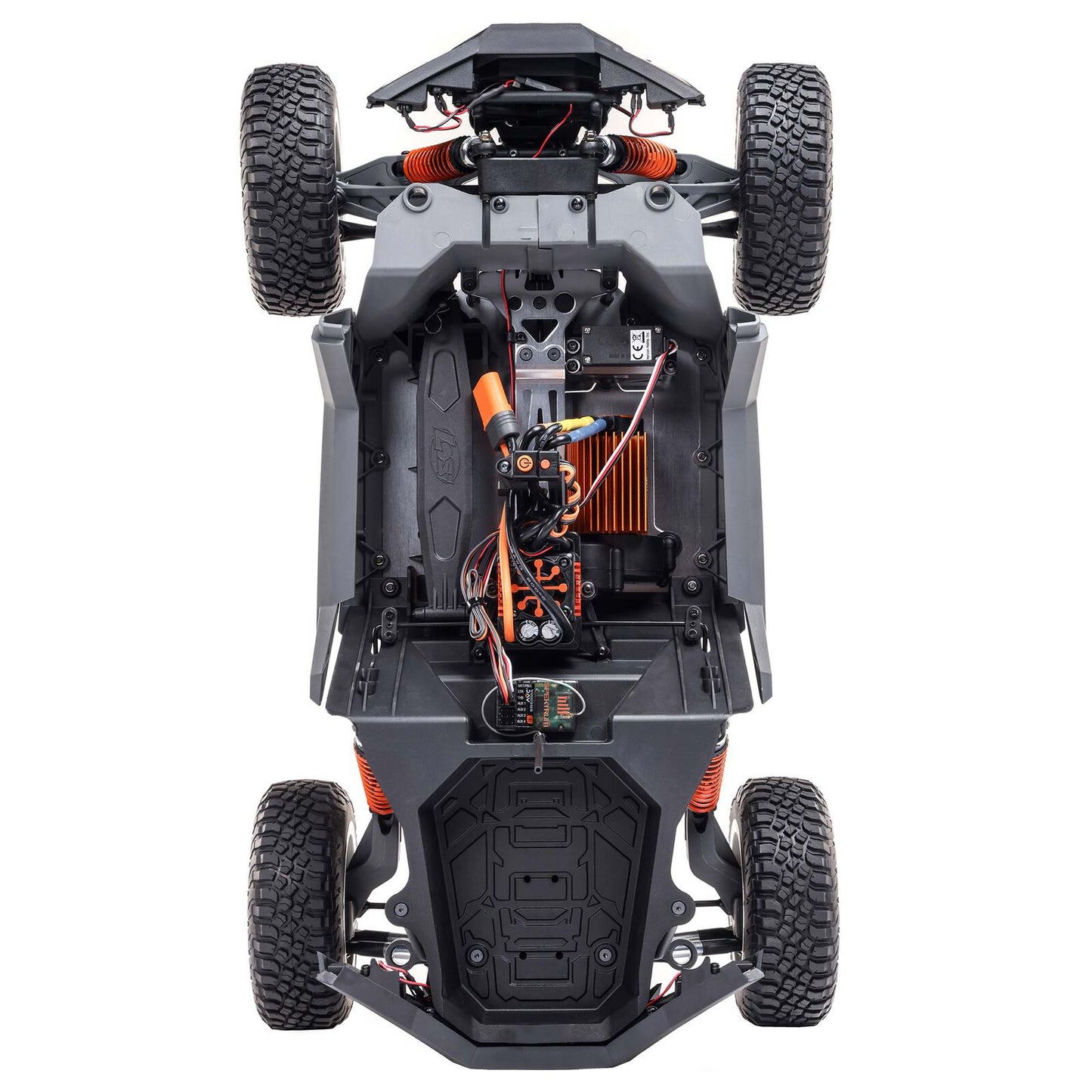 Losi 1/10 Losi RZR Rey